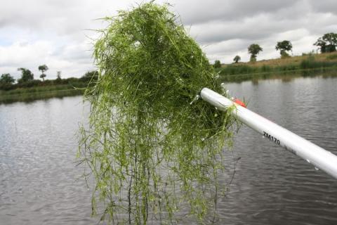 Habitat 3140-2-photo M. MADY Habitat 3140-2-photo M. MADY